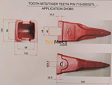 TOOTH TIGER (KUKU MACAN)
