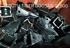 TOOTH TIGER (KUKU MACAN)