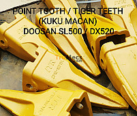TOOTH TIGER (KUKU MACAN