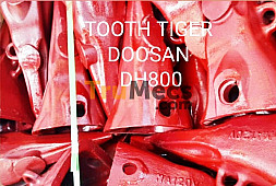 POINT TOOTH TIGER (LANCIP)