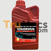 WEALTHY OIL VIGOROUS MOTOR OIL 10W-40 JASO MA 2 APISL 800 ML